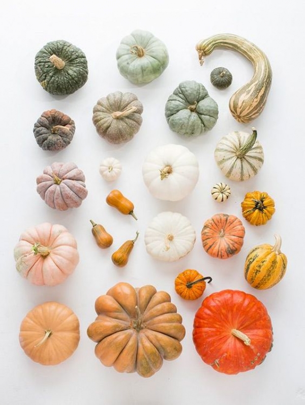 Powerhouse Pumpkins