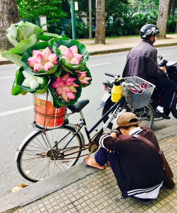 Lotus Love, Vietnam